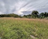 TBD Trinity Road, Belington, West Virginia 26250, ,Lots/land,For Sale,Trinity,10161283