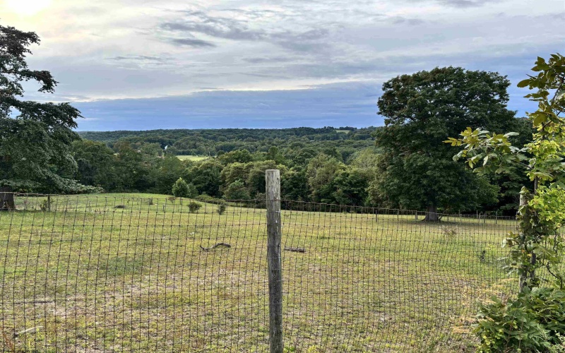 TBD Trinity Road, Belington, West Virginia 26250, ,Lots/land,For Sale,Trinity,10161283