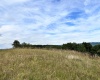 TBD Trinity Road, Belington, West Virginia 26250, ,Lots/land,For Sale,Trinity,10161283