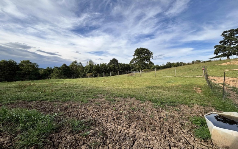 TBD Trinity Road, Belington, West Virginia 26250, ,Lots/land,For Sale,Trinity,10161283
