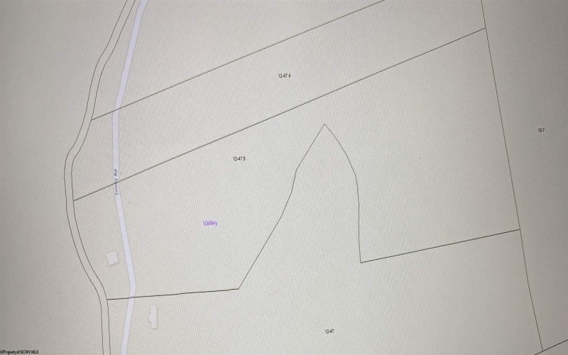 TBD Trinity Road, Belington, West Virginia 26250, ,Lots/land,For Sale,Trinity,10161283