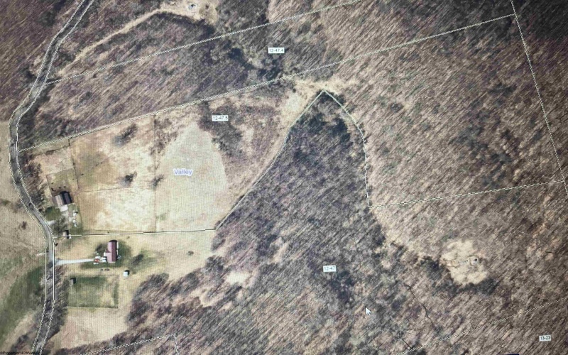 TBD Trinity Road, Belington, West Virginia 26250, ,Lots/land,For Sale,Trinity,10161283