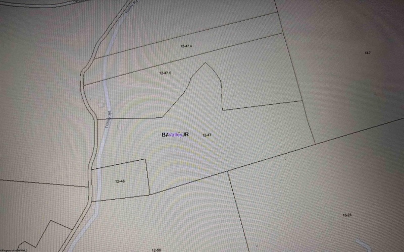TBD Trinity Road, Belington, West Virginia 26250, ,Lots/land,For Sale,Trinity,10161283