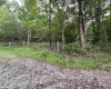 TBD Trinity Road, Belington, West Virginia 26250, ,Lots/land,For Sale,Trinity,10161283