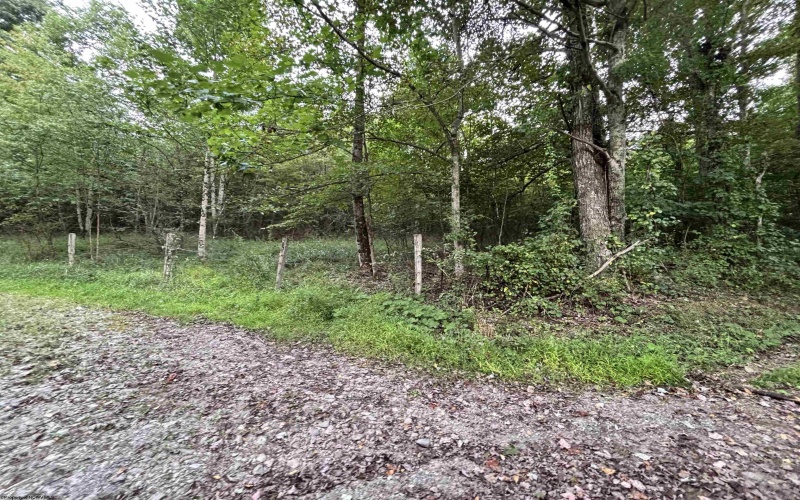 TBD Trinity Road, Belington, West Virginia 26250, ,Lots/land,For Sale,Trinity,10161283