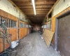 TBD Trinity Road, Belington, West Virginia 26250, ,Lots/land,For Sale,Trinity,10161283