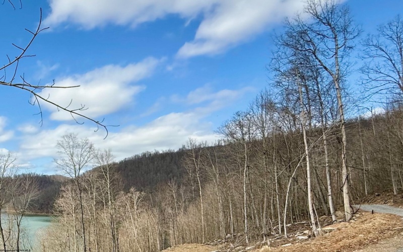 Lot 4 Brooklyn Way, Moatsville, West Virginia 26405, ,Lots/land,For Sale,Brooklyn,10161285