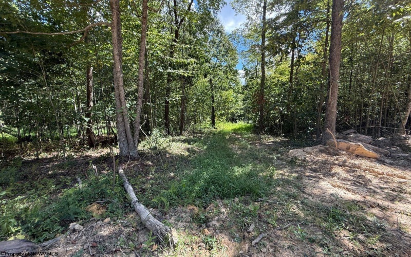 Lot 4 Brooklyn Way, Moatsville, West Virginia 26405, ,Lots/land,For Sale,Brooklyn,10161285