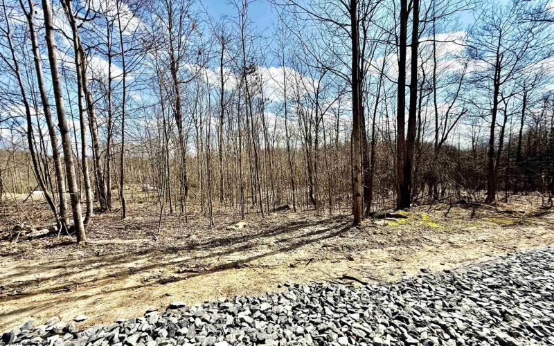 Lot 4 Brooklyn Way, Moatsville, West Virginia 26405, ,Lots/land,For Sale,Brooklyn,10161285