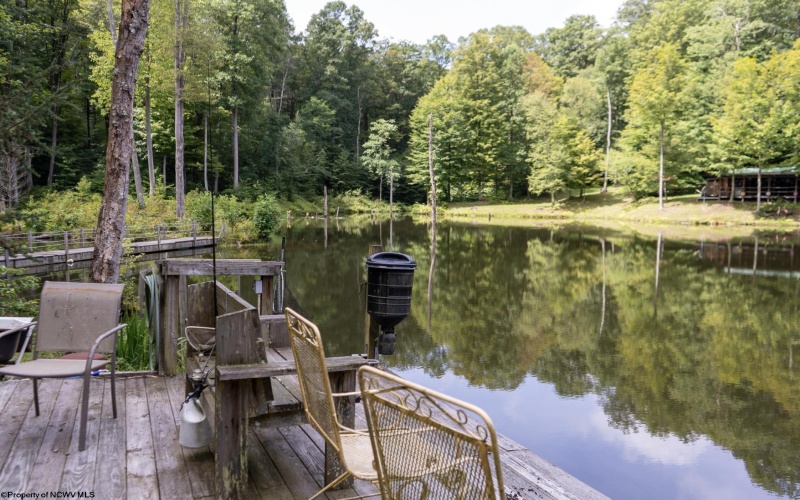 180 Thorpe Mountain Lane, Tallmansville, West Virginia 26237, ,Lots/land,For Sale,Thorpe Mountain,10161287