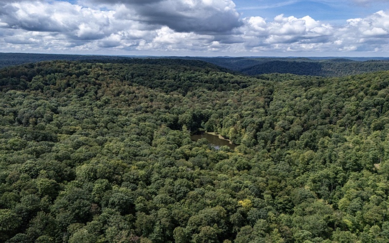 180 Thorpe Mountain Lane, Tallmansville, West Virginia 26237, ,Lots/land,For Sale,Thorpe Mountain,10161287