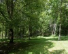 180 Thorpe Mountain Lane, Tallmansville, West Virginia 26237, ,Lots/land,For Sale,Thorpe Mountain,10161287