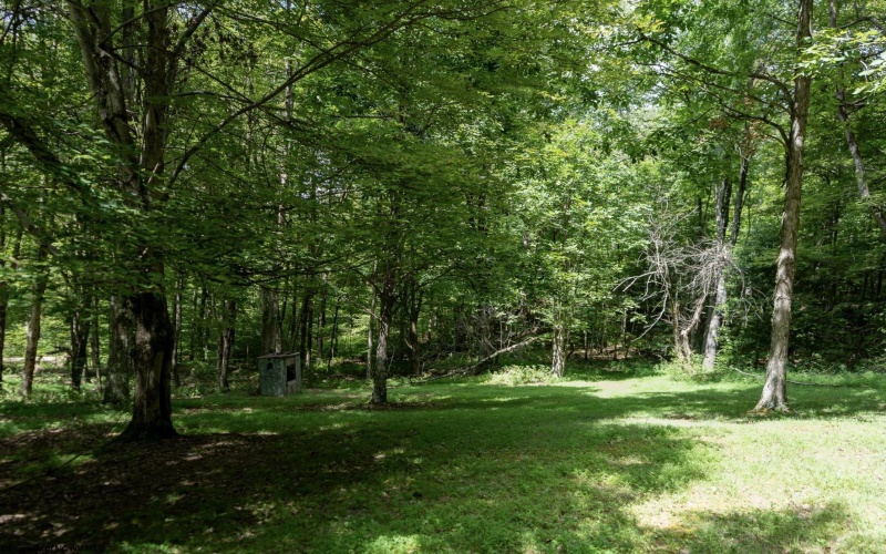 180 Thorpe Mountain Lane, Tallmansville, West Virginia 26237, ,Lots/land,For Sale,Thorpe Mountain,10161287