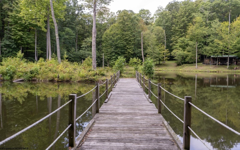 180 Thorpe Mountain Lane, Tallmansville, West Virginia 26237, ,Lots/land,For Sale,Thorpe Mountain,10161287