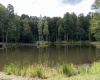 180 Thorpe Mountain Lane, Tallmansville, West Virginia 26237, ,Lots/land,For Sale,Thorpe Mountain,10161287