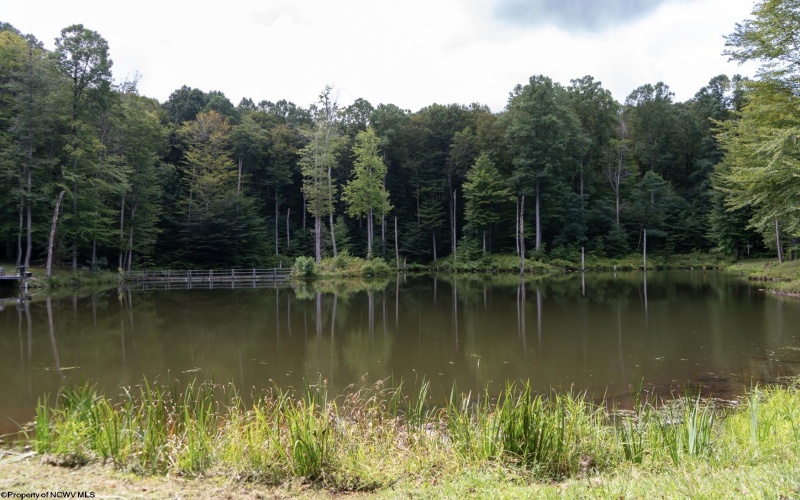 180 Thorpe Mountain Lane, Tallmansville, West Virginia 26237, ,Lots/land,For Sale,Thorpe Mountain,10161287