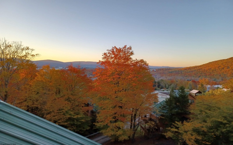 29 Green Lane, Davis, West Virginia 26260, 3 Bedrooms Bedrooms, 7 Rooms Rooms,2 BathroomsBathrooms,Single Family Detached,For Sale,Green,10161299