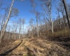 15400 US 250 Highway, Philippi, West Virginia 26416, ,Lots/land,For Sale,US 250,10158816