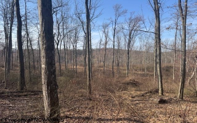 15400 US 250 Highway, Philippi, West Virginia 26416, ,Lots/land,For Sale,US 250,10158816