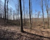 15400 US 250 Highway, Philippi, West Virginia 26416, ,Lots/land,For Sale,US 250,10158816
