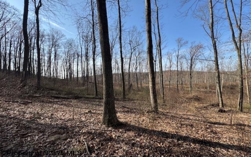 15400 US 250 Highway, Philippi, West Virginia 26416, ,Lots/land,For Sale,US 250,10158816