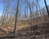 15400 US 250 Highway, Philippi, West Virginia 26416, ,Lots/land,For Sale,US 250,10158816