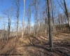 15400 US 250 Highway, Philippi, West Virginia 26416, ,Lots/land,For Sale,US 250,10158816