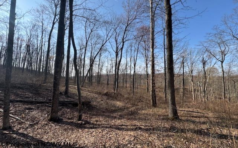 15400 US 250 Highway, Philippi, West Virginia 26416, ,Lots/land,For Sale,US 250,10158816