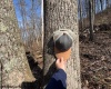 15400 US 250 Highway, Philippi, West Virginia 26416, ,Lots/land,For Sale,US 250,10158816