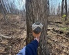 15400 US 250 Highway, Philippi, West Virginia 26416, ,Lots/land,For Sale,US 250,10158816