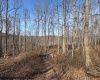 15400 US 250 Highway, Philippi, West Virginia 26416, ,Lots/land,For Sale,US 250,10158816