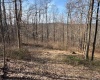 15400 US 250 Highway, Philippi, West Virginia 26416, ,Lots/land,For Sale,US 250,10158816
