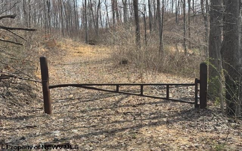 15400 US 250 Highway, Philippi, West Virginia 26416, ,Lots/land,For Sale,US 250,10158816