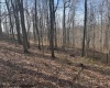 15400 US 250 Highway, Philippi, West Virginia 26416, ,Lots/land,For Sale,US 250,10158816