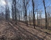 15400 US 250 Highway, Philippi, West Virginia 26416, ,Lots/land,For Sale,US 250,10158816