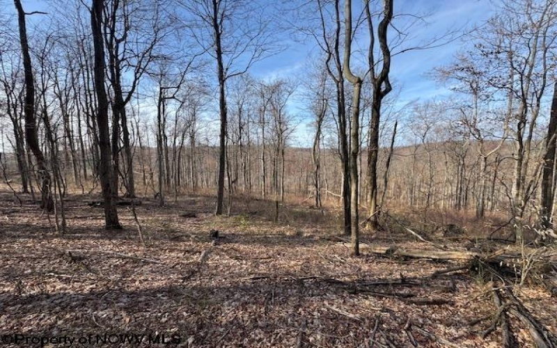 15400 US 250 Highway, Philippi, West Virginia 26416, ,Lots/land,For Sale,US 250,10158816