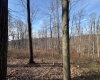 15400 US 250 Highway, Philippi, West Virginia 26416, ,Lots/land,For Sale,US 250,10158816