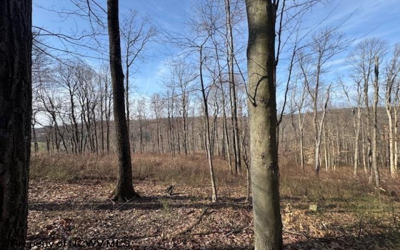 15400 US 250 Highway, Philippi, West Virginia 26416, ,Lots/land,For Sale,US 250,10158816