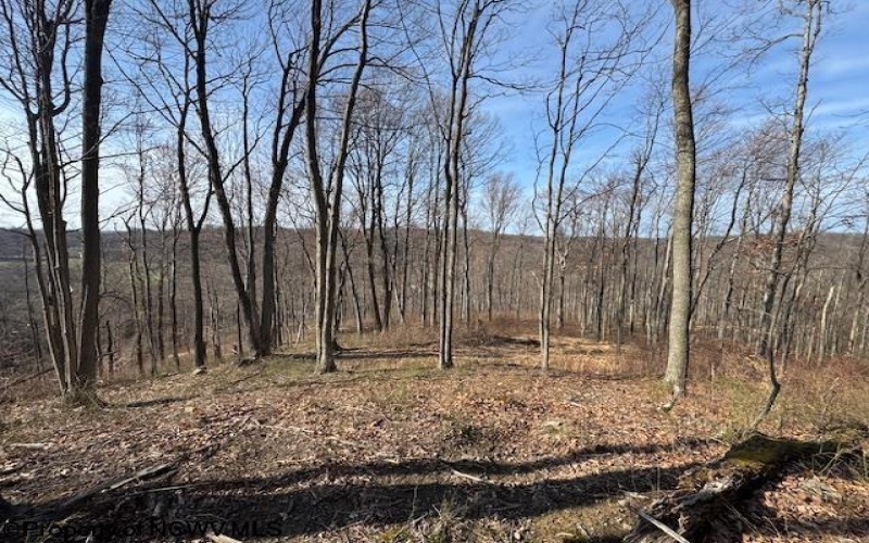 15400 US 250 Highway, Philippi, West Virginia 26416, ,Lots/land,For Sale,US 250,10158816