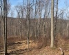 15400 US 250 Highway, Philippi, West Virginia 26416, ,Lots/land,For Sale,US 250,10158816