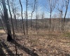 15400 US 250 Highway, Philippi, West Virginia 26416, ,Lots/land,For Sale,US 250,10158816