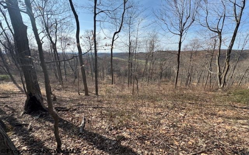 15400 US 250 Highway, Philippi, West Virginia 26416, ,Lots/land,For Sale,US 250,10158816