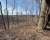 15400 US 250 Highway, Philippi, West Virginia 26416, ,Lots/land,For Sale,US 250,10158816