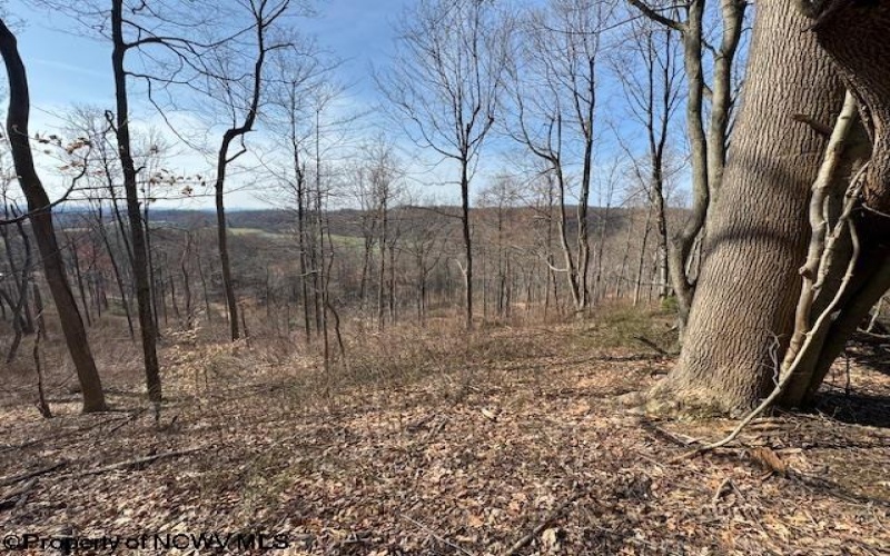 15400 US 250 Highway, Philippi, West Virginia 26416, ,Lots/land,For Sale,US 250,10158816