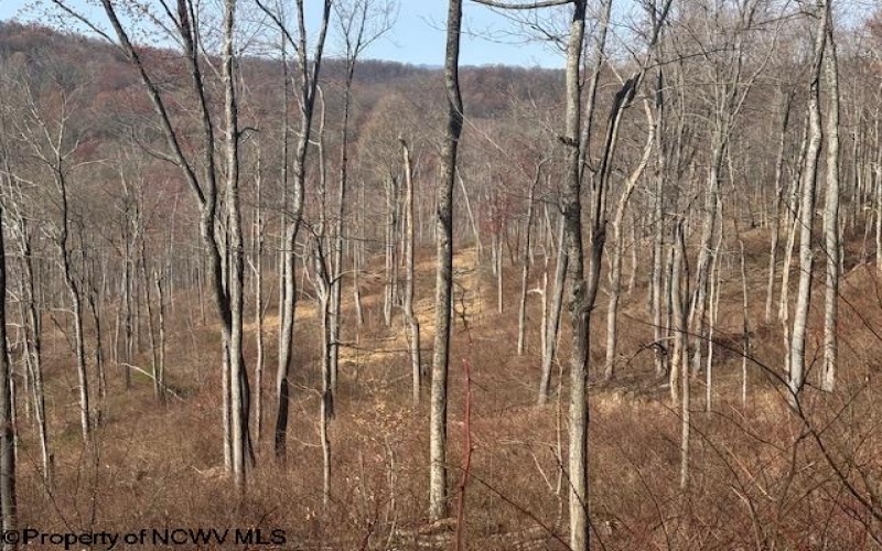 15400 US 250 Highway, Philippi, West Virginia 26416, ,Lots/land,For Sale,US 250,10158816