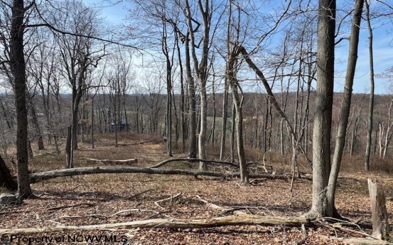 15400 US 250 Highway, Philippi, West Virginia 26416, ,Lots/land,For Sale,US 250,10158816