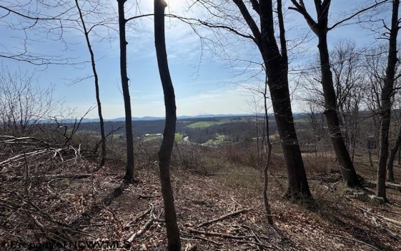 15400 US 250 Highway, Philippi, West Virginia 26416, ,Lots/land,For Sale,US 250,10158816