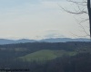 15400 US 250 Highway, Philippi, West Virginia 26416, ,Lots/land,For Sale,US 250,10158816