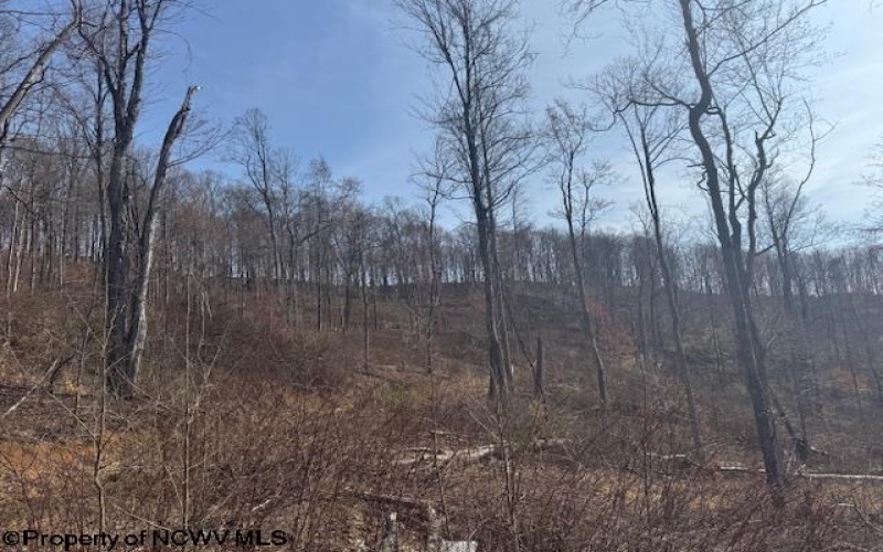 15400 US 250 Highway, Philippi, West Virginia 26416, ,Lots/land,For Sale,US 250,10158816