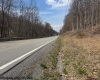 15400 US 250 Highway, Philippi, West Virginia 26416, ,Lots/land,For Sale,US 250,10158816